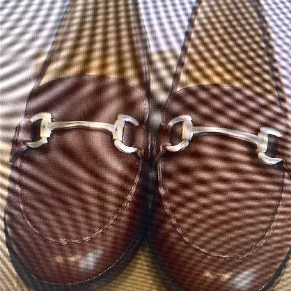 Elegant Brown Loafers with Silver Detailing